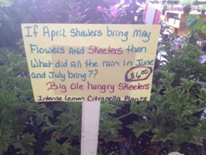 How to Tell Better Accessibility Stories with Data (and AI)