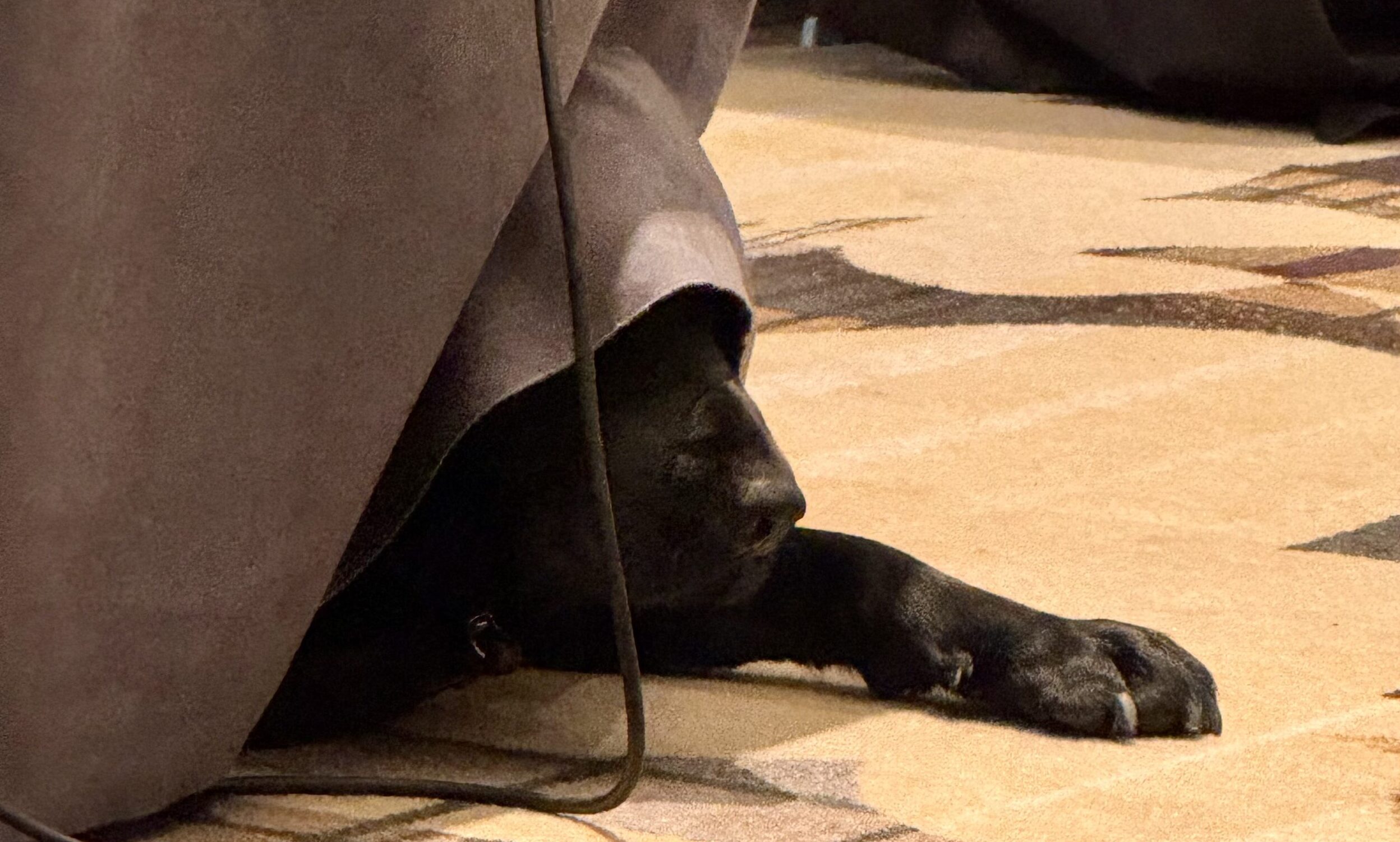 Designing for Cognitive Accessibility